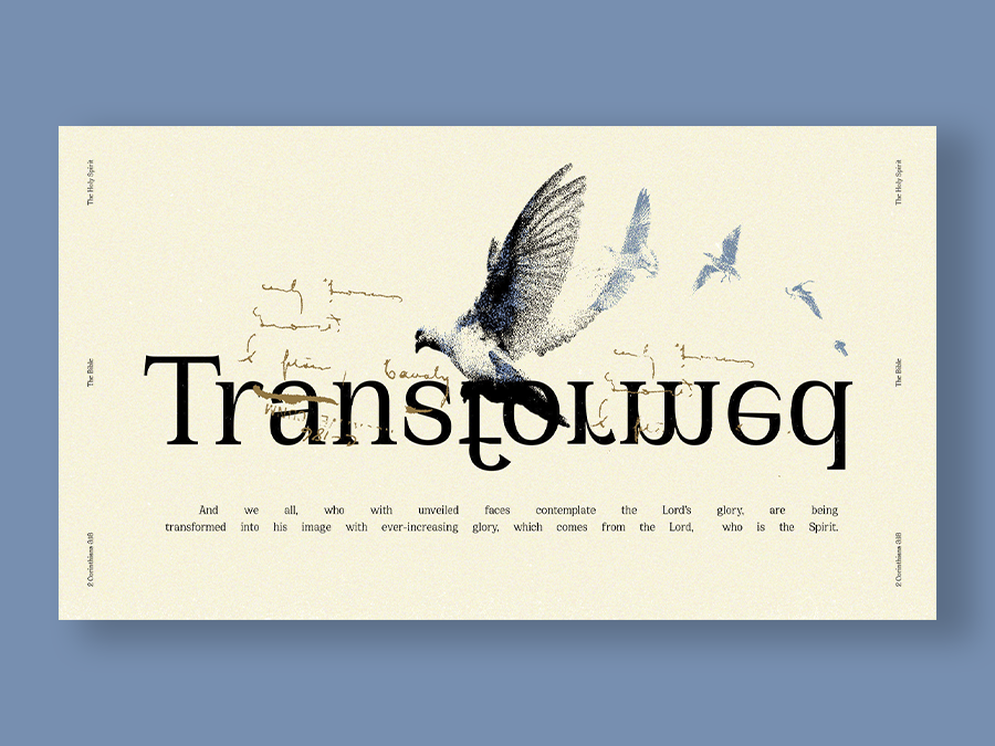 Brand Identity work